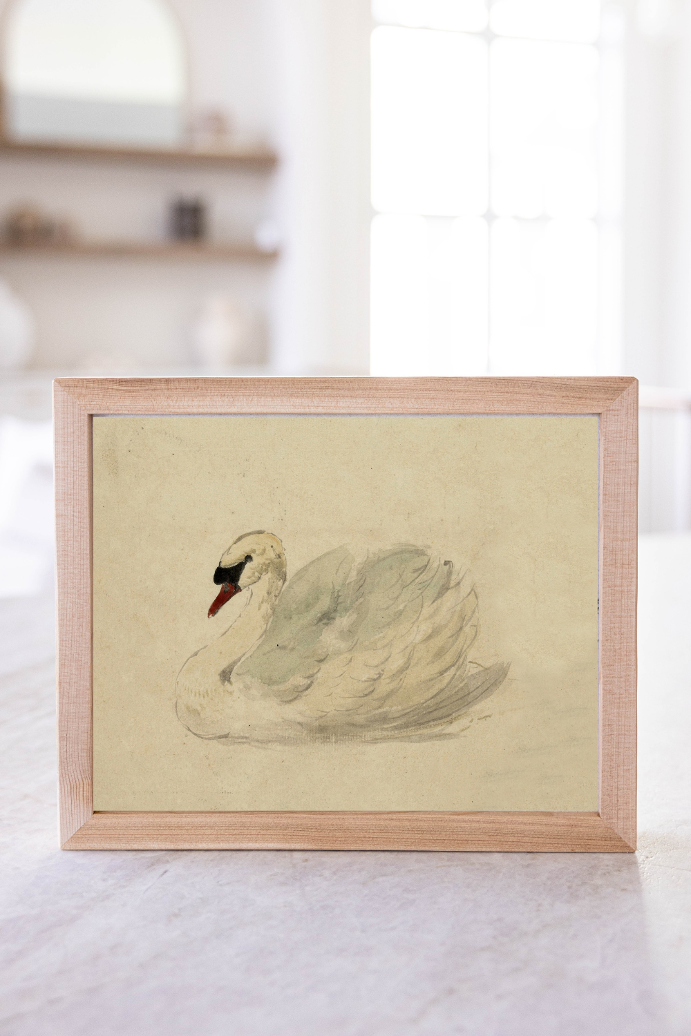 Traditional Swan Pine Framed Art | 115