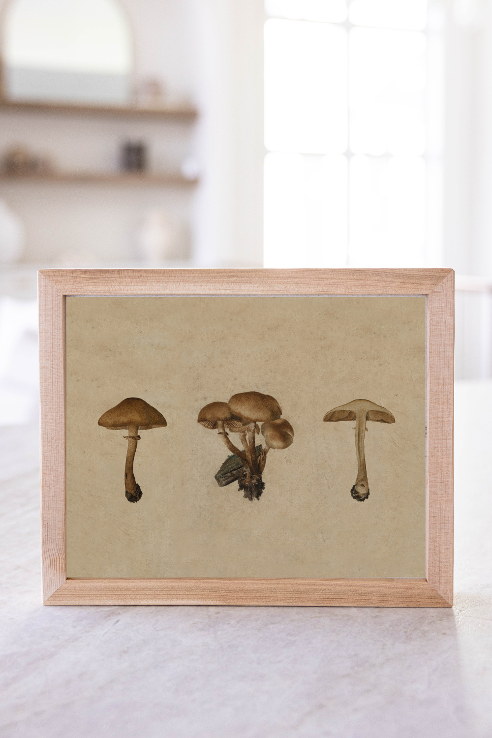 Button Mushrooms Pine Framed Art | 109