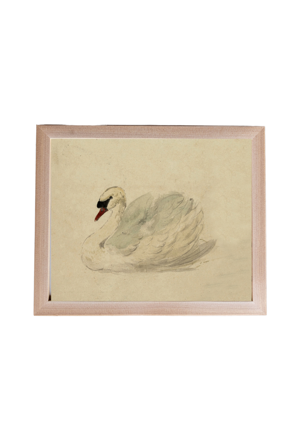 Traditional Swan Pine Framed Art | 115