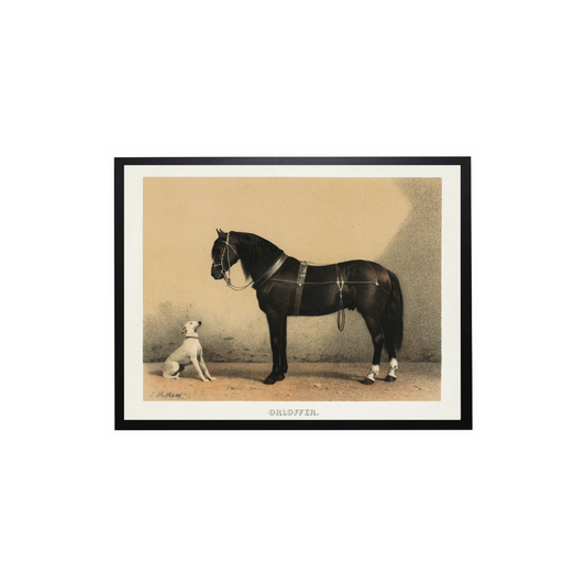 Vintage Horse & Dog Painting Framed Art | By Luxe B Co.