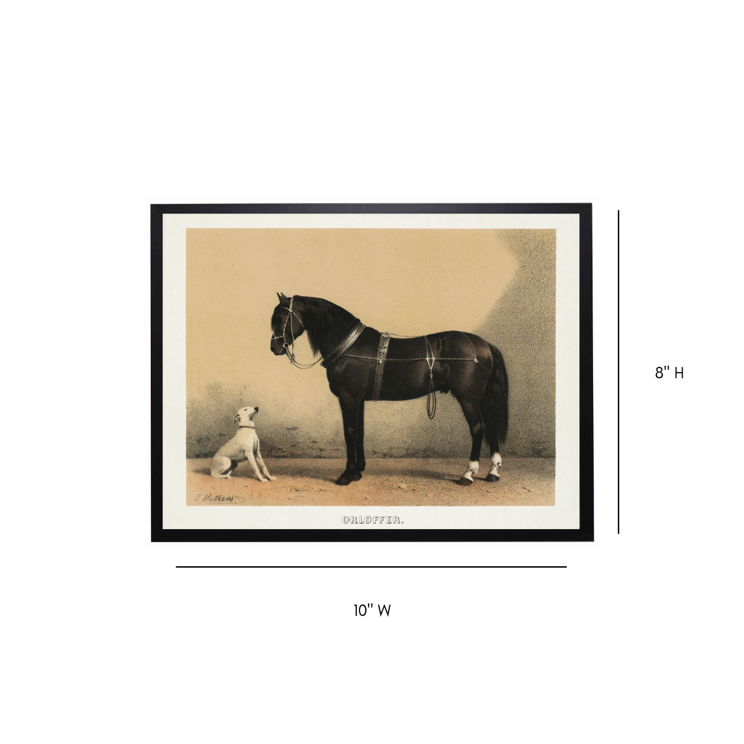 Vintage Horse & Dog Painting Framed Art | By Luxe B Co.