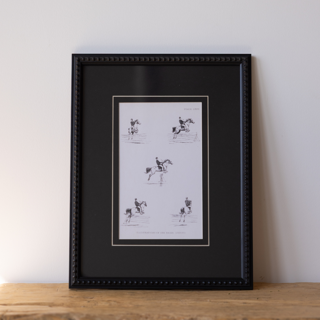 Vintage Show Jumping Framed Art By Luxe B Co. 