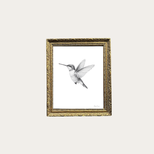 Hummingbird Sketch Framed Art | By Luxe B Co. 