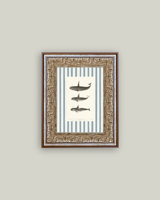 Whales on Stripes Framed Antique Inspired Art| By Luxe B Co. 