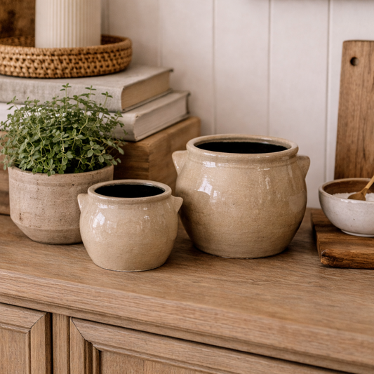 Decorative setting with ceramic pots and plants on a wooden surface.