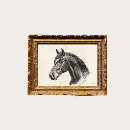 Stallion Sketch | French Brass Gold Mould Framed Art