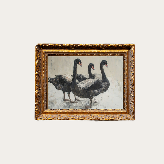 Black Swan | French Brass Gold Mould Framed Art
