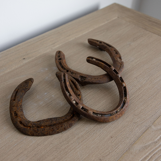 Antique Horseshoe - Luxe B Co