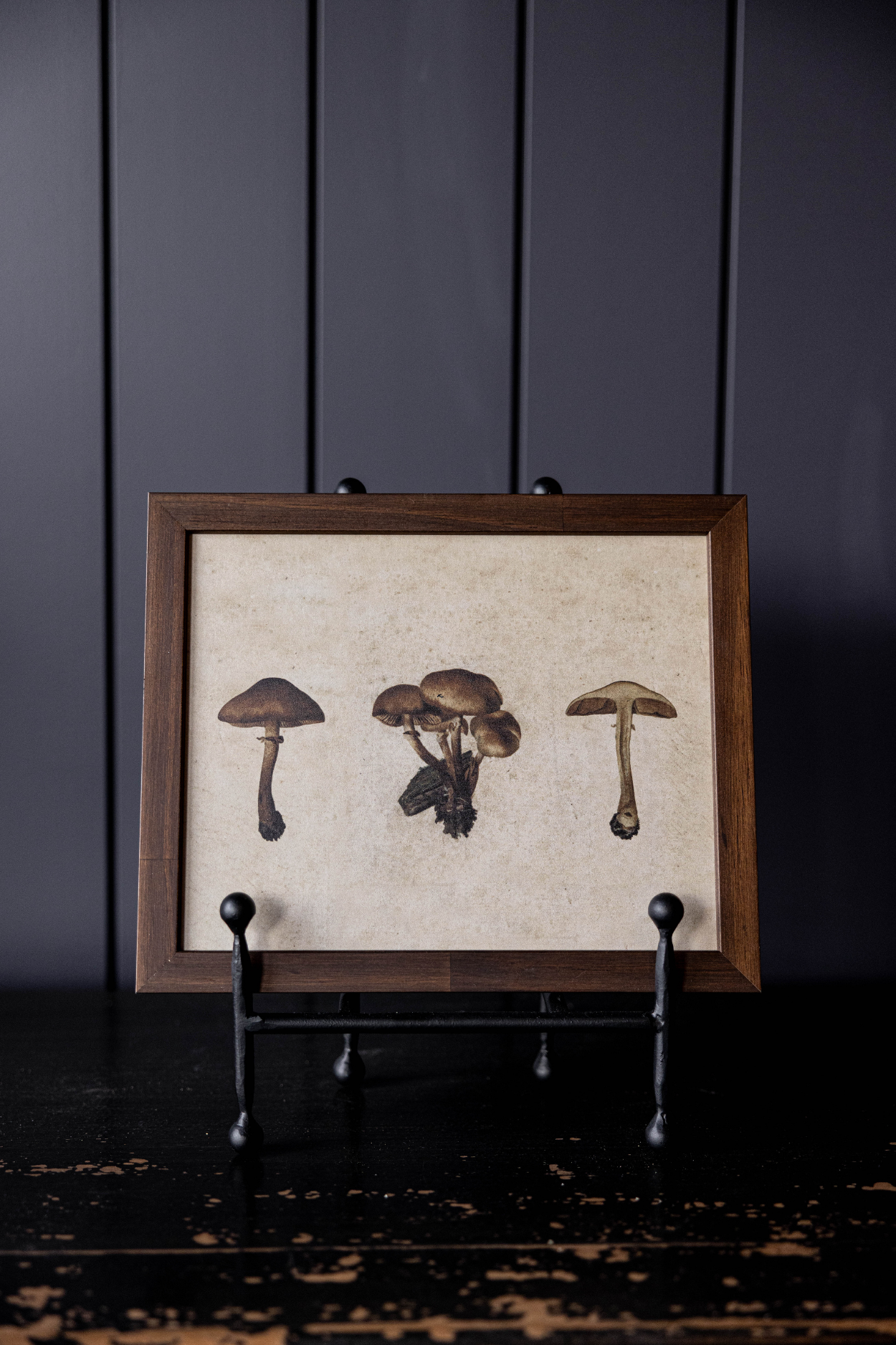 Button Mushrooms Hazelnut Framed Art | By Luxe B Co. 