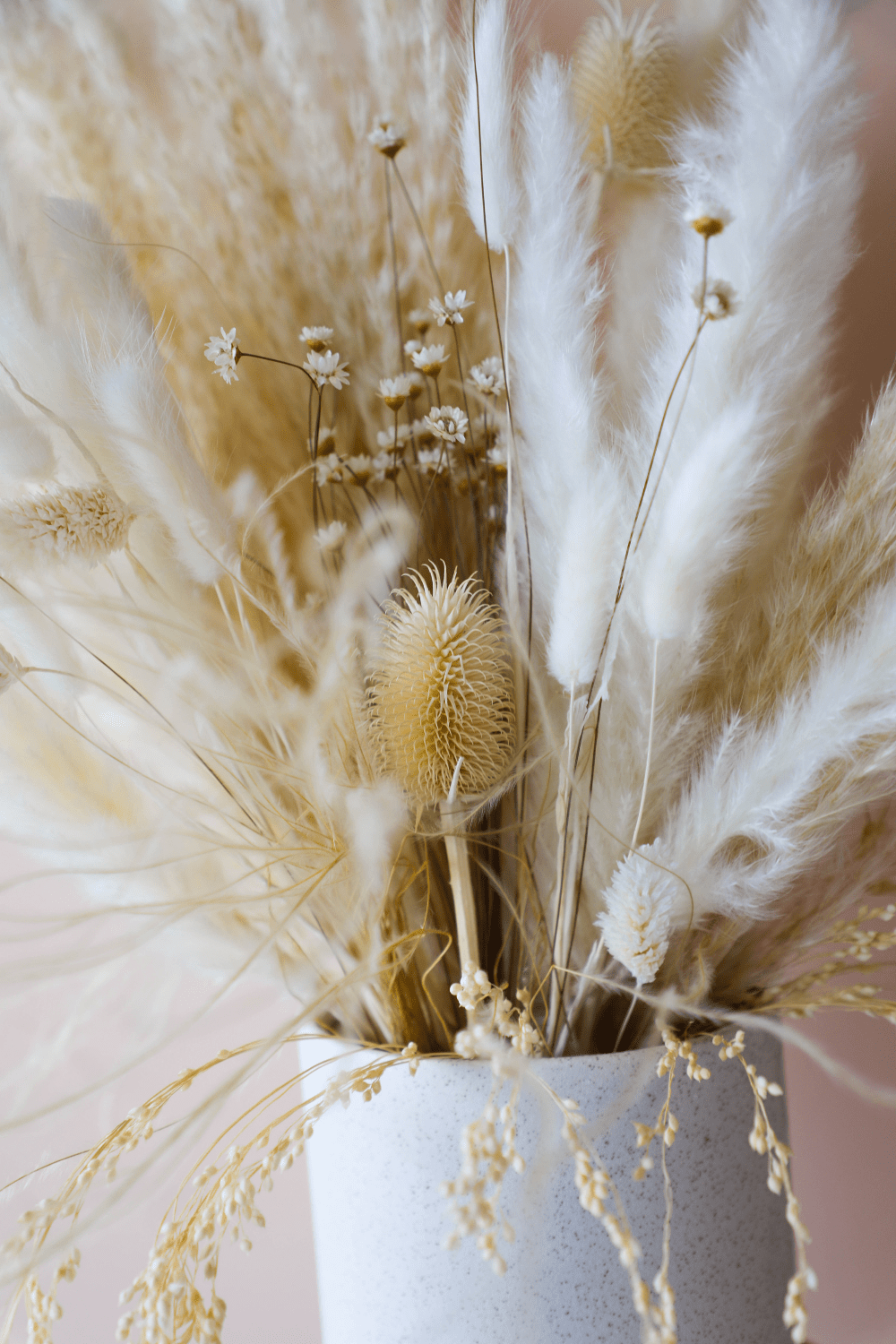 Bleached Pearl Grass - Luxe B Pampas Grass  Canada , ships via Canada Post from Edmonton 